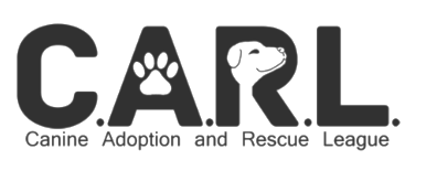 charity care for pets